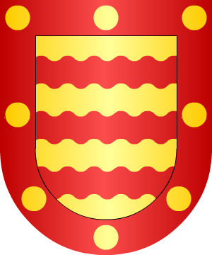 ESCUDO ALEATORIO